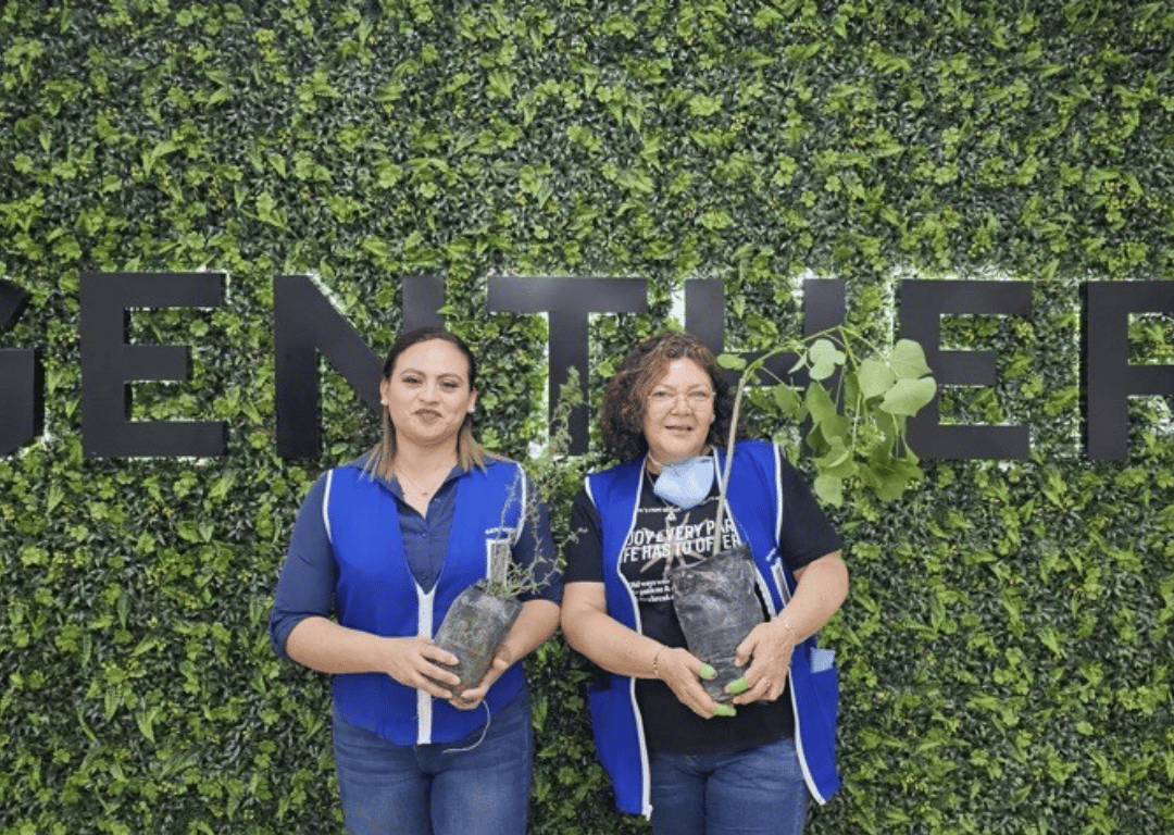 Celaya Environment Day