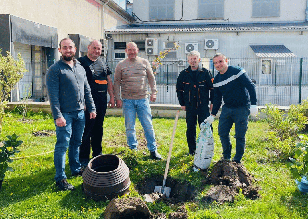 Tree Planting