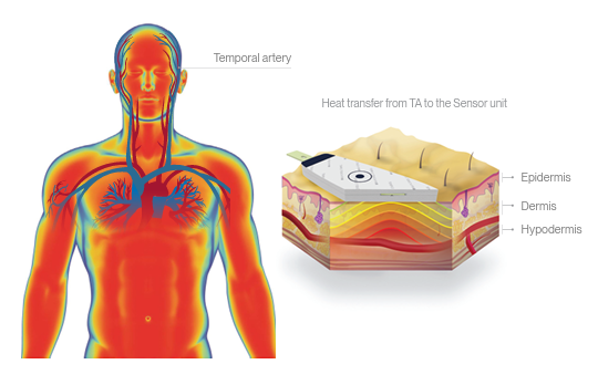 Kool-Kit® Neonate